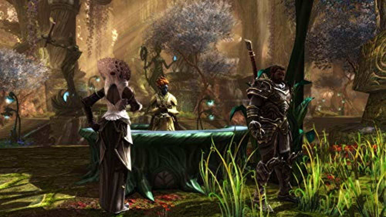 Kingdoms of Amalur Re-Reckoning (PS4) - Offer Games